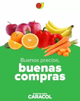 Caracol (válido hasta 18-05)