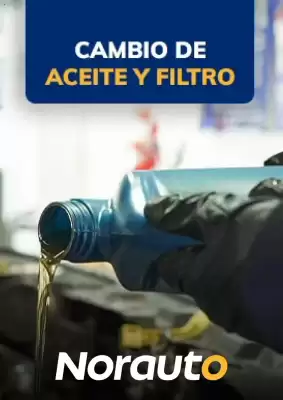 Norauto (válido hasta 1-06)