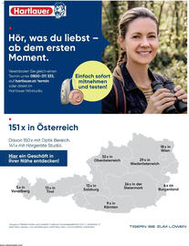 Hartlauer Flugblatt Seite 8