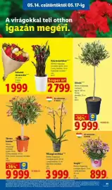 Lidl akciós újság hét 20 Oldal 25