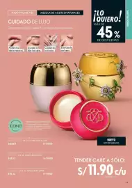 Catálogo Oriflame Página 43