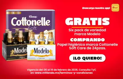Folleto Mi Tienda del Ahorro Página 5