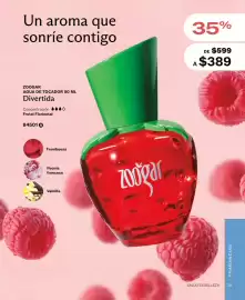 Catálogo Jafra Página 39