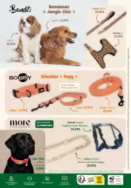 Catalogue Maxi Zoo page 6