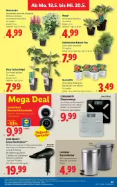 Lidl Flugblatt woche 20 Seite 32