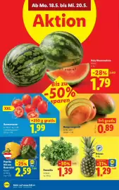Lidl Flugblatt woche 20 Seite 39