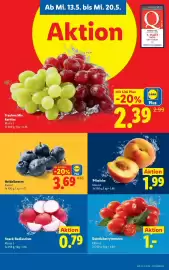 Lidl Flugblatt woche 20 Seite 5