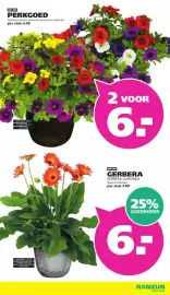 Ranzijn folder week 20 Pagina 2