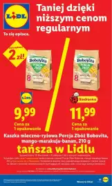 Lidl gazetka Strona 21