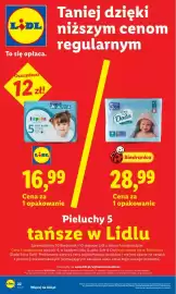 Lidl gazetka Strona 22