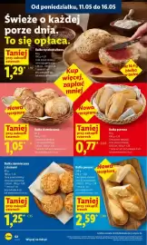 Lidl gazetka Strona 62