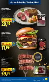 Lidl gazetka Strona 69