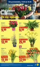 Lidl gazetka Strona 91
