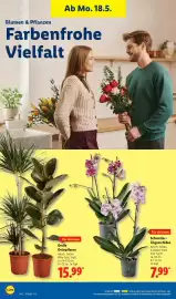 Lidl Prospekt Seite 70