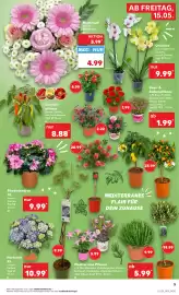 Kaufland DE folder week 20 Pagina 5