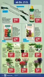 Aldi Nord Prospekt woche 21 Seite 31