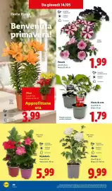 Volantino Lidl settimana 20 Pagina 28