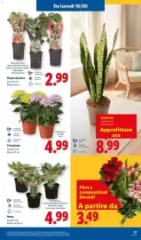 Volantino Lidl settimana 20 Pagina 29