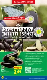 Volantino Lidl settimana 20 Pagina 6