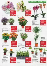 Kaufland leták týden 20 Strana 11