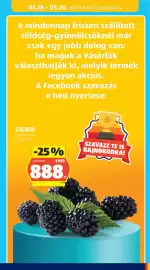 ALDI akciós újság Oldal 31