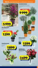 ALDI akciós újság hét 20 Oldal 5