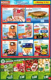 Norma Prospekt woche 21 Seite 11
