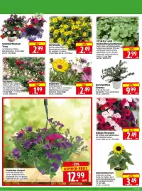 Herkules Baumarkt Prospekt woche 20 Seite 2