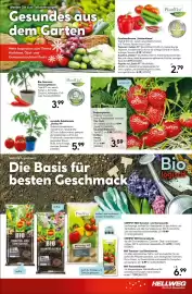 Hellweg Prospekt woche 20 Seite 17