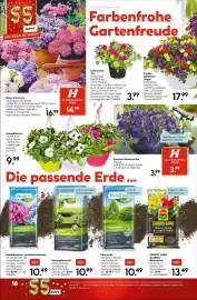Hellweg Prospekt woche 20 Seite 18