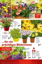 Hellweg Prospekt woche 20 Seite 19