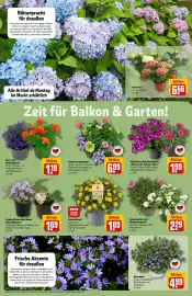 REWE Center Prospekt woche 20 Seite 6