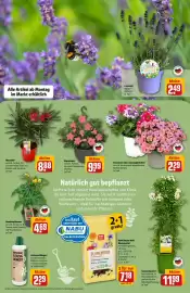 REWE Center Prospekt woche 20 Seite 7