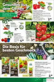 BayWa Bau & Garten Prospekt woche 20 Seite 17
