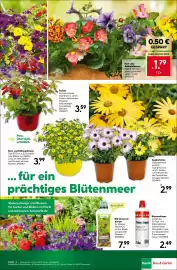 BayWa Bau & Garten Prospekt woche 20 Seite 19