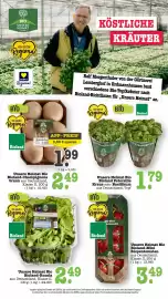 Scheck-in-Center Prospekt woche 20 Seite 30