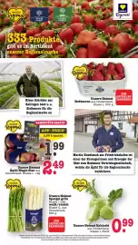 Scheck-in-Center Prospekt woche 20 Seite 31
