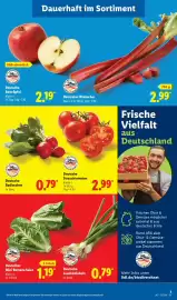 Lidl Prospekt Seite 5