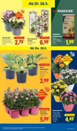 Lidl Prospekt Seite 69