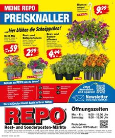 Repo Markt Prospekt woche 20 Seite 12