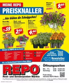 Repo Markt Prospekt woche 20 Seite 12
