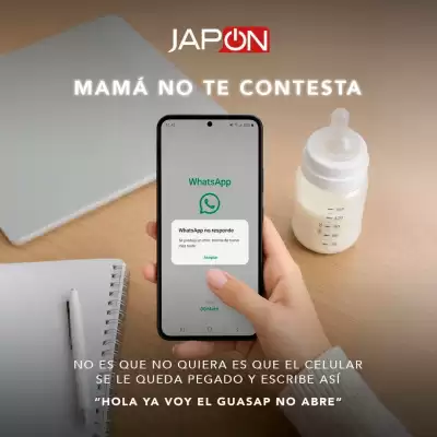 Almacenes Japón (válido hasta 10-05)