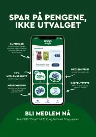Coop Mega kundeavis uke 20 Side 15