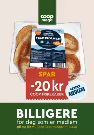 Coop Mega kundeavis uke 20 Side 32