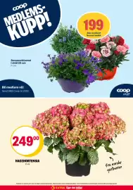 Coop Extra kundeavis uke 20 Side 30