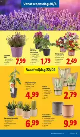 Lidl folder week 21 Pagina 21
