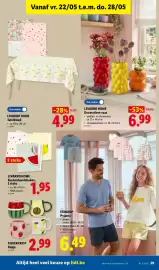 Lidl folder week 21 Pagina 29