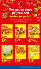 Lidl folder week 21 Pagina 5