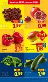 Lidl folder week 21 Pagina 7