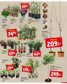 Jem&Fix reklamblad vecka 20 Sida 11